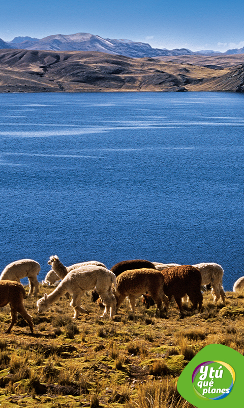 Laguna Choclococha